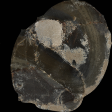 Chocolate' flint : 3D documentation