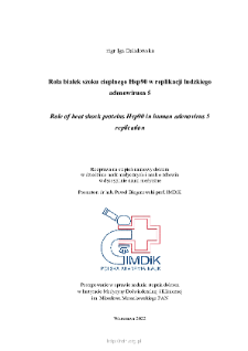 Role of heat shock proteins Hsp90 in human adenovirus 5 replication