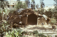 Temporary home on the street in Delhi (Iconographic document)
