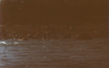 Place where the body was burnt, Rishikesh (Iconographic document)