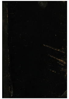 Pamiętniki starego parasola