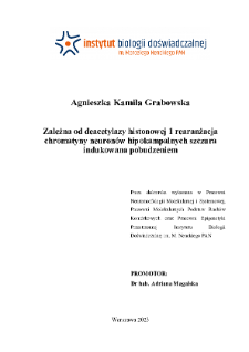 Zależna od deacetylazy histonowej 1 rearanżacja chromatyny neuron&oacute;w hipokampalnych szczura indukowana pobudzeniem : praca doktorska