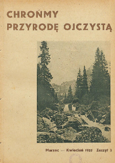 Naturalne szpalery świerkowe nad g&oacute;rną granicą lasu na stokach Małej Kosistej w Tatrach