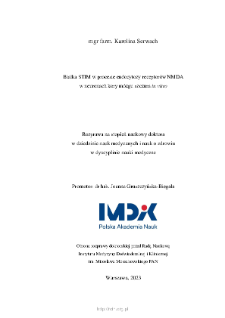 Białka STIM w procesie endocytozy receptor&oacute;w NMDA w neuronach kory m&oacute;zgu szczura in vitro