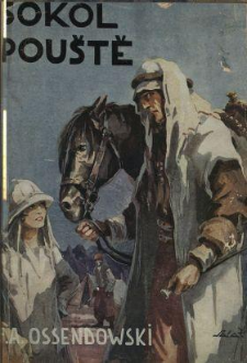 Sokol pou&scaron;t&eacute; : rom&aacute;n