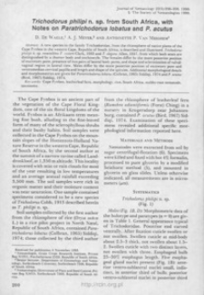 Trichodorus philipi n. sp. from South Africa, with notes on Paratrichodorus lobatus and P. acutus