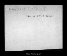 Nag&oacute;rki Dobrskie. Files of Raciaz district in the Middle Ages. Files of Historico-Geographical Dictionary of Masovia in the Middle Ages