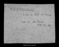 Niesiołowo. Files of Raciaz district in the Middle Ages. Files of Historico-Geographical Dictionary of Masovia in the Middle Ages