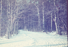 BPN - droga za bramą