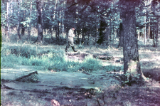 Sztuczne wodopoje dla zwierzyny (z czasów carskich) w oddz. 217