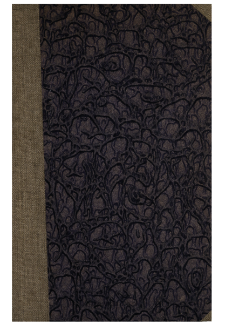 Z korespondencyi Józefa Ignacego Kraszewskiego (1842-1846)