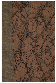 Geneza "Maryi" Malczewskiego