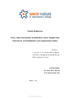 Scene-object interactions in naturalistic vision: insights from behavioural, neurostimulation and computational studies : PhD thesis
