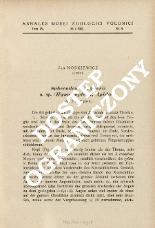 Sphecodes zangherii n. sp. (Hymenoptera, Apidae)