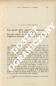 Nowe gatunki wij&oacute;w z grot Jugosławji zebrane przez Dr. P. Remy (Nancy)