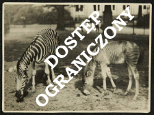 Zoo Stellingen - Hamburg