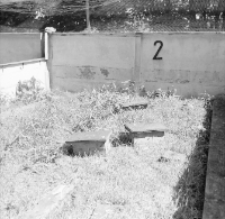 [Zagrody w wiwarium]