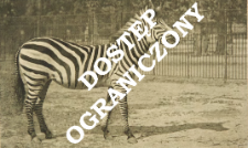 Zoo Sch&ouml;nbrunn - Wien