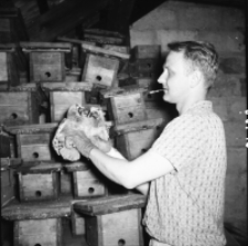 [A. Ruprecht z sowami uszatkami]