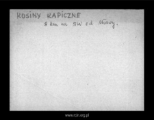 Kosiny Kapiczne. Files of Szrensk district in the Middle Ages. Files of Historico-Geographical Dictionary of Masovia in the Middle Ages