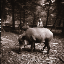 [Lusia w rezerwacie doświadczalnym]