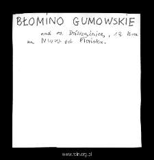 Błomino Gumowskie. Files of Plonsk district in the Middle Ages. Files of Historico-Geographical Dictionary of Masovia in the Middle Ages