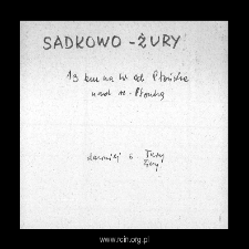 Sadkowo-Żury. Files of Plonsk district in the Middle Ages. Files of Historico-Geographical Dictionary of Masovia in the Middle Ages