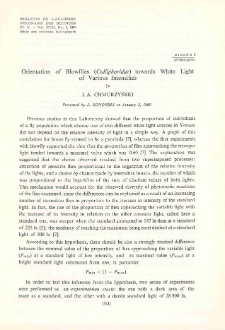 Orientation of Blowflies (Calliphoridae) towards White Light of Variious Intensities