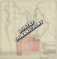 Luboszyce. Badania archeologiczno-geofizyczne