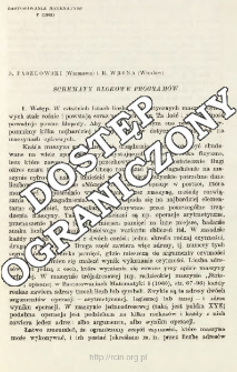 Schematy blokowe program&oacute;w
