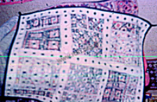 Fragment of female garment, Rajasthan (Iconographic document)