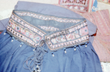 Fragment of female garment, Rajasthan (Iconographic document)