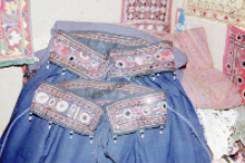 Fragment of female garment, Rajasthan (Iconographic document)