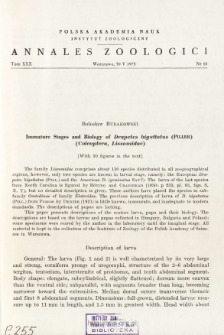 Immature stages and biology of Drapetes biguttatus (Piller) (Coleoptera, Lissomidae)