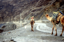 Uprząż wielbłądzia, Przełęcz Chajberska(Dokument ikonograficzny)