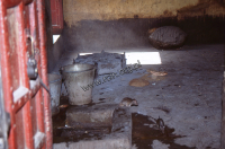 Karni Mata Temple in Deshnok, Rajasthan (Iconographic document)