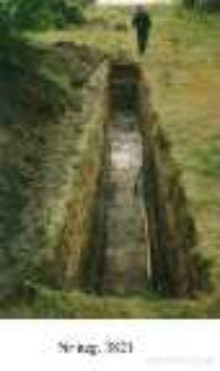 Wolin