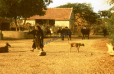 Rural street (Iconographic document)