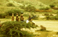 Kobiety z wodą, pasterze kachchi rabari (Dokument ikonograficzny)