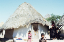 Traditional village, shrines of kachchi rabari (Iconographic document)