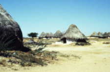 Traditional village of kachchi rabari (Iconographic document)