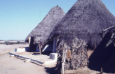 Traditional village of kachchi rabari (Iconographic document)
