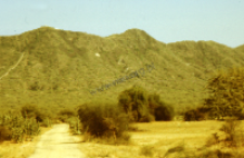 Landscape of Kutch (Iconographic document)
