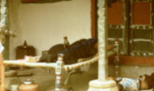 Elderly woman on the couch from a group kachhi rabari (Iconographic document)