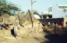 Cottages with thatched roofs (Iconographic document)