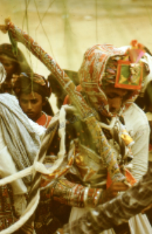 Portrait of the groom. Kachchi rabari wedding (Iconographic document)