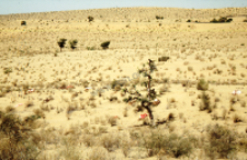 Graves in the Thar desert (Iconographic document)