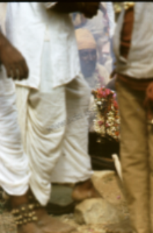 Gauri Dance, Bhils (Iconographic document)