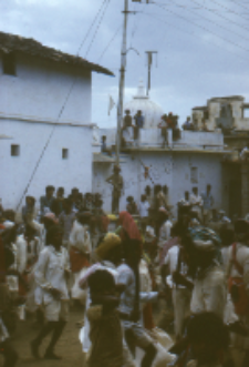 Gauri Dance, Bhils (Iconographic document)