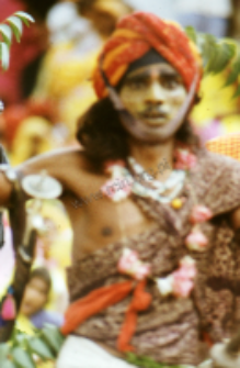 Gauri Dance, Bhils (Iconographic document)